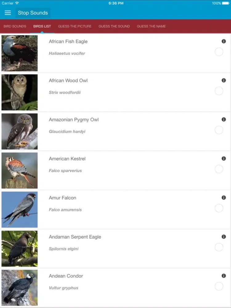 تصاویر Birds of Prey and Sounds iPad 