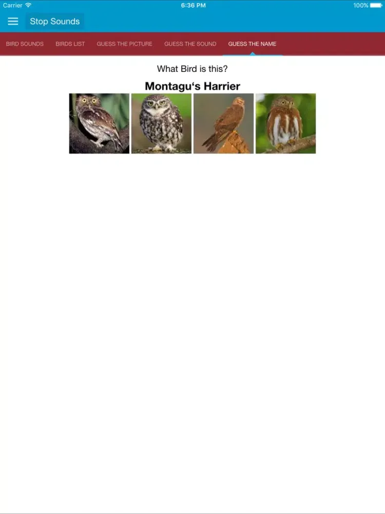 تصاویر Birds of Prey and Sounds iPad 