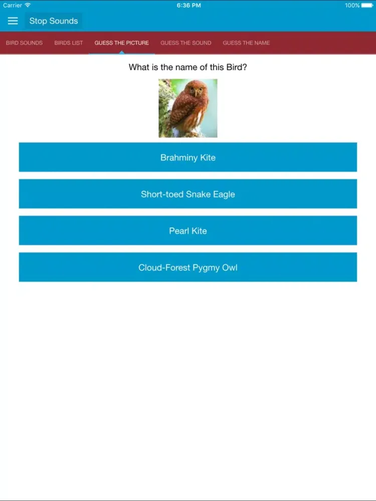 تصاویر Birds of Prey and Sounds iPad 