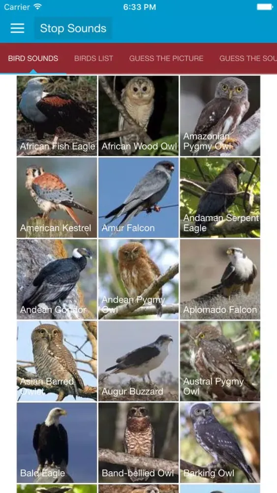 تصاویر Birds of Prey and Sounds