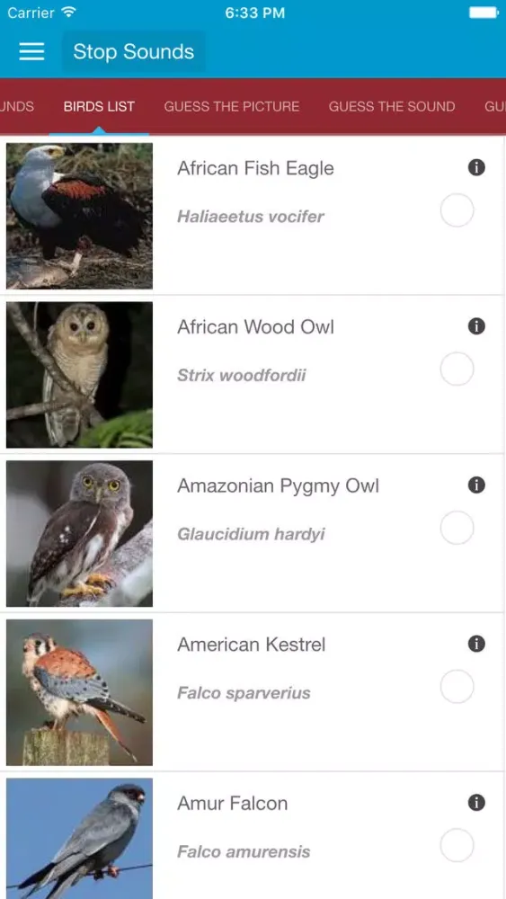 تصاویر Birds of Prey and Sounds
