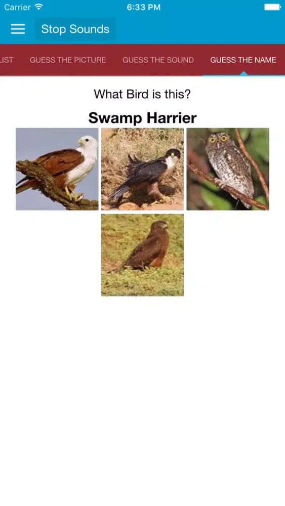 تصاویر Birds of Prey and Sounds