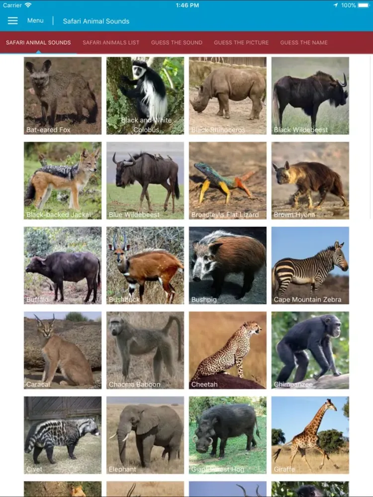 Captures d'écran de Safari Animal Sounds and Info iPad 