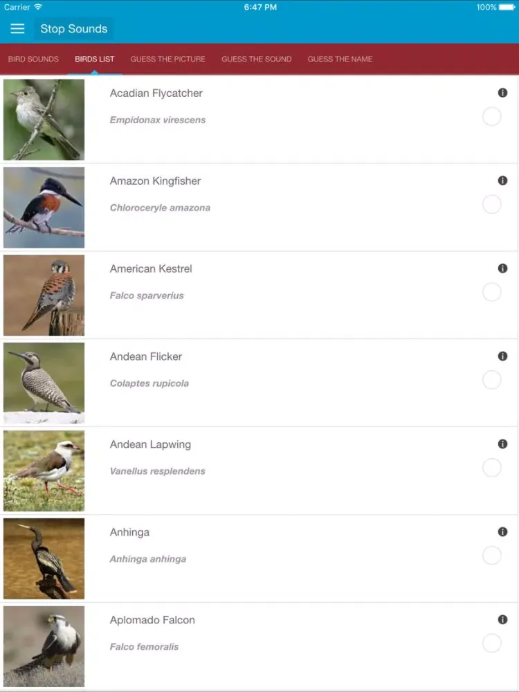 Tangkapan skrin South American Birds Sounds iPad 
