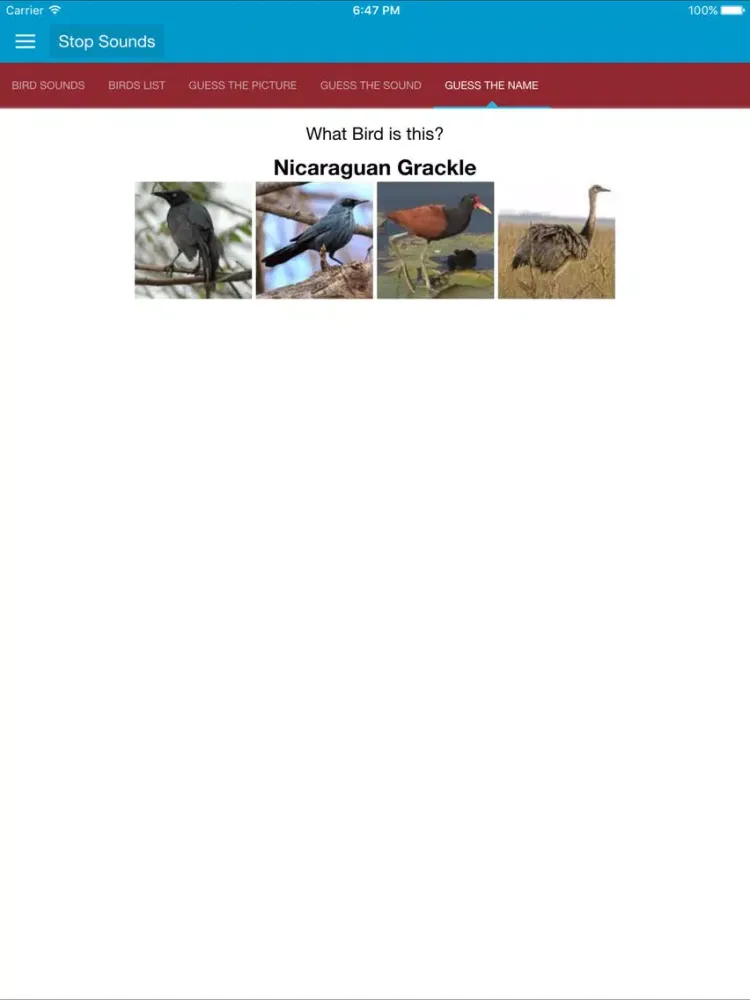 Tangkapan skrin South American Birds Sounds iPad 