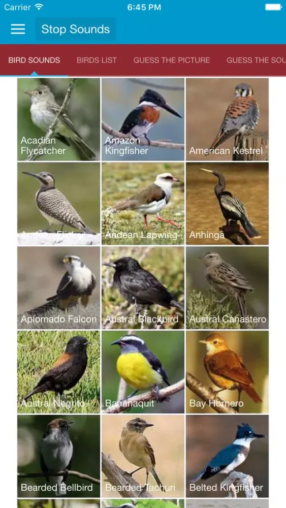 Tangkapan skrin South American Birds Sounds