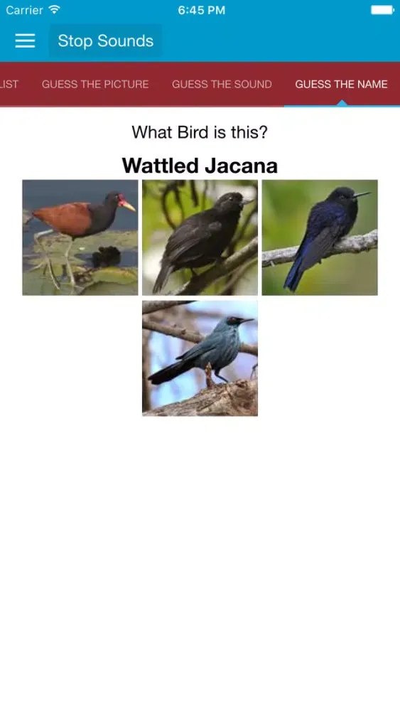 Tangkapan skrin South American Birds Sounds