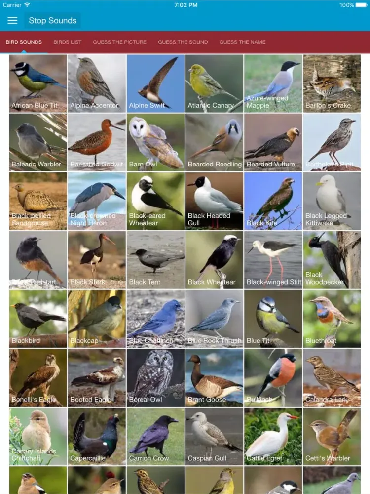Spanish Birds and Sounds iPad 应用截图