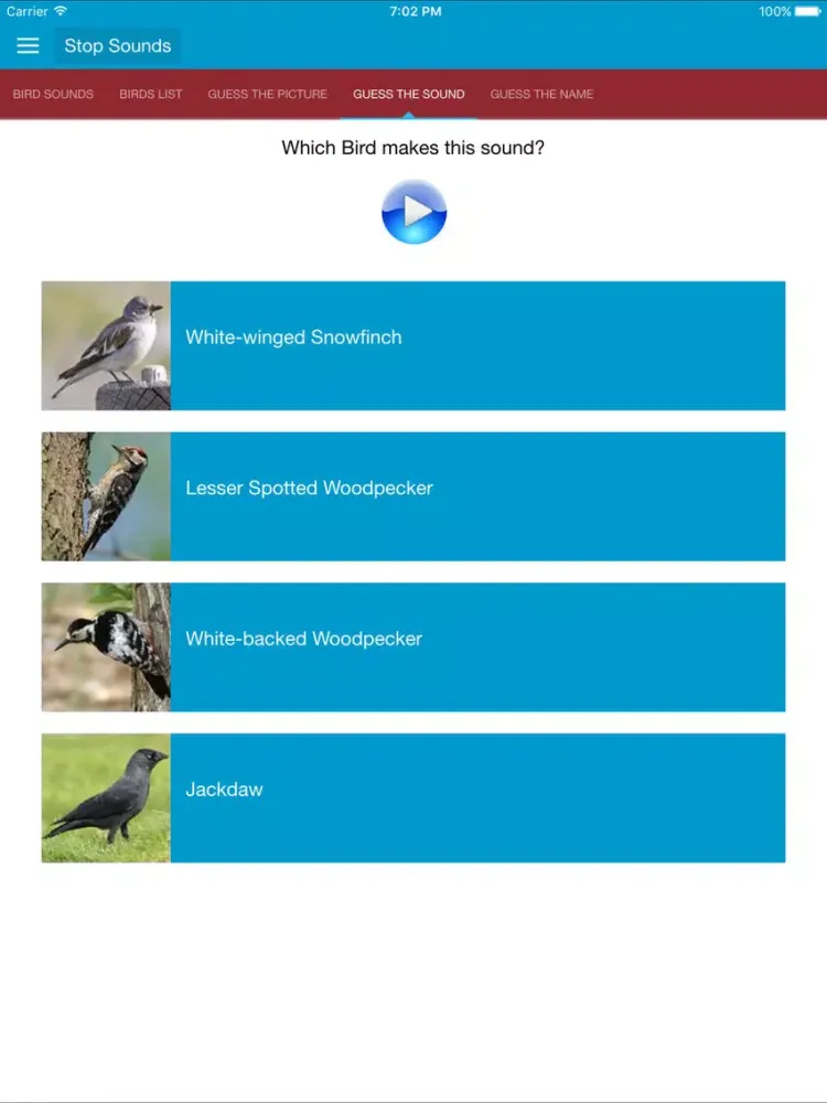 Spanish Birds and Sounds iPad 应用截图
