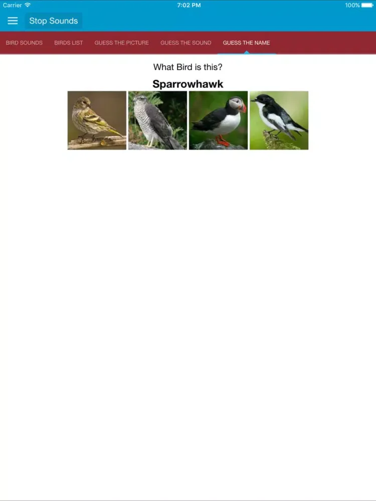 Spanish Birds and Sounds iPad 应用截图