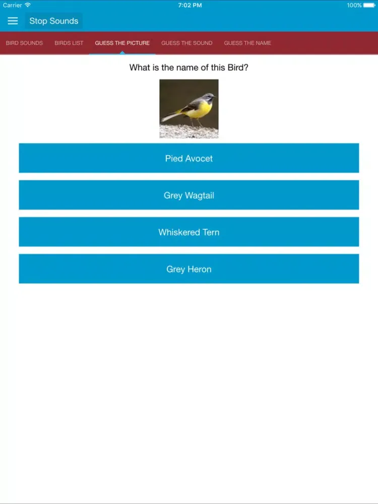 Spanish Birds and Sounds iPad 应用截图