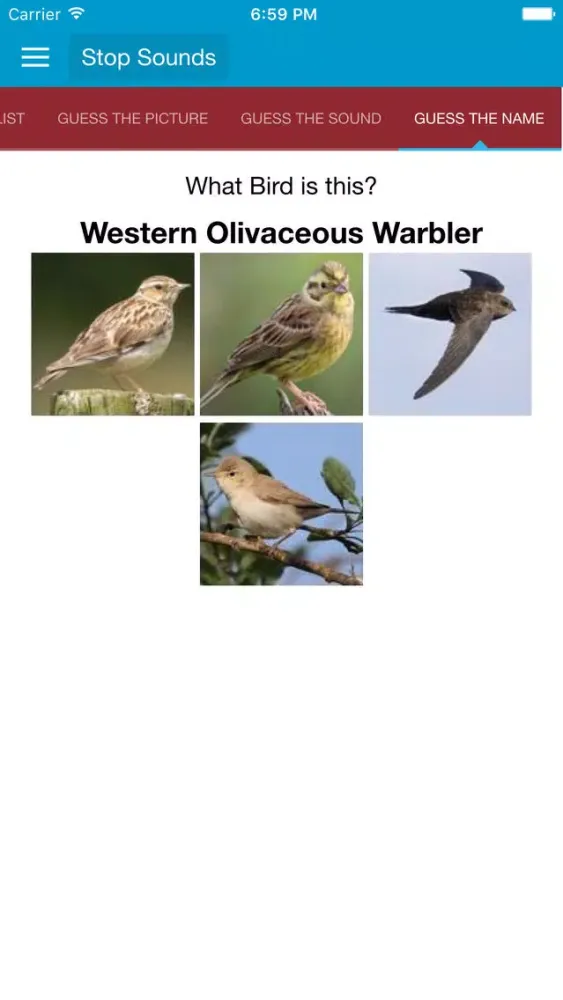 Spanish Birds and Sounds应用截图