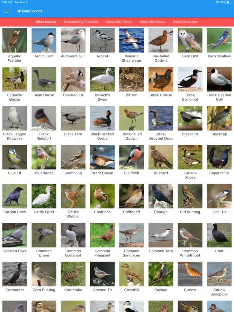 UK Birds Sounds iPad  سکرین شاٹس
