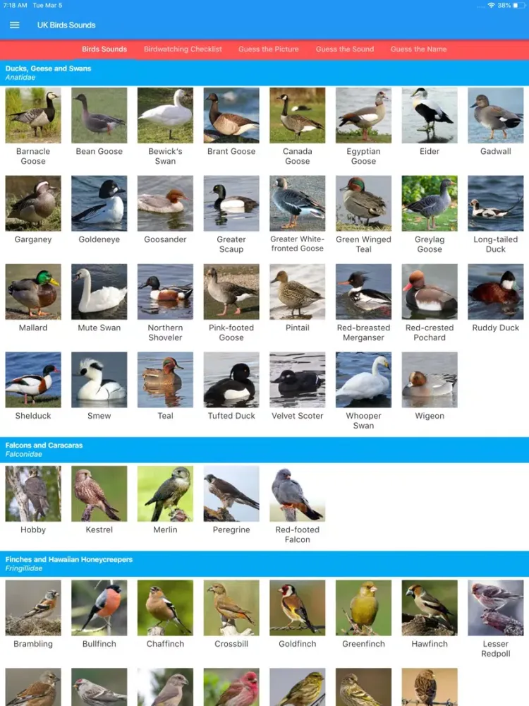 UK Birds Sounds iPad  سکرین شاٹس