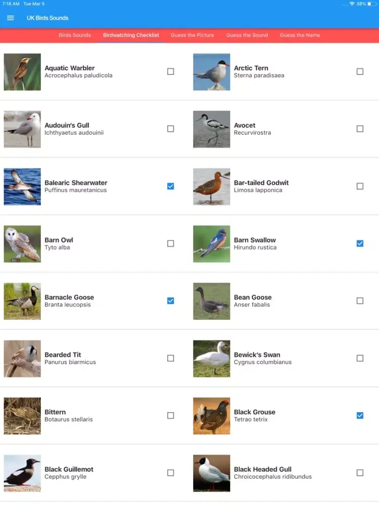 UK Birds Sounds iPad  سکرین شاٹس
