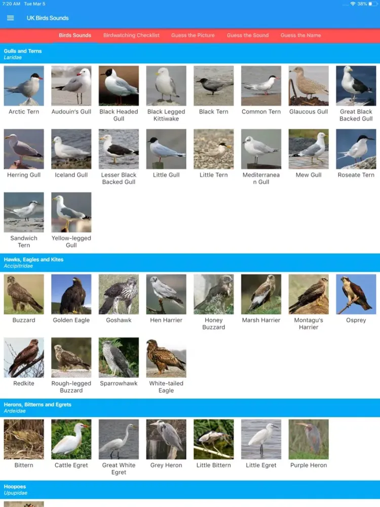 UK Birds Sounds iPad  سکرین شاٹس