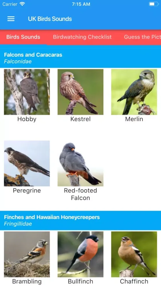 UK Birds Sounds سکرین شاٹس