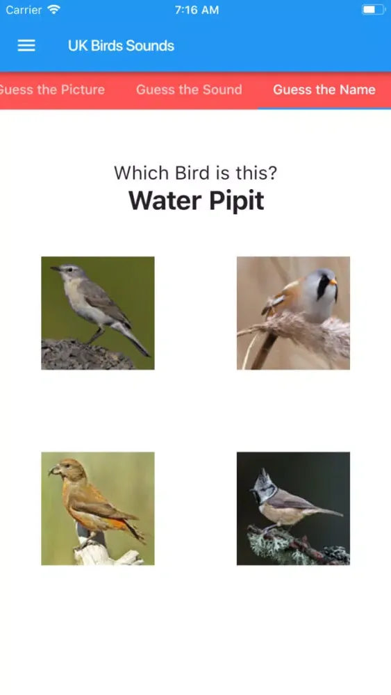 UK Birds Sounds سکرین شاٹس
