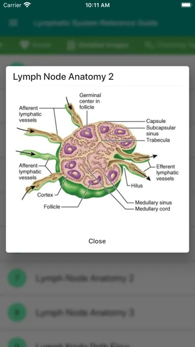 Lymphatic System Reference スクリーンショット