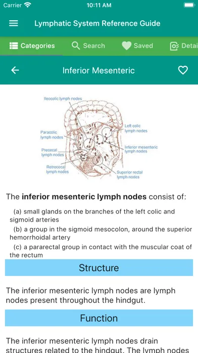 Lymphatic System Reference スクリーンショット