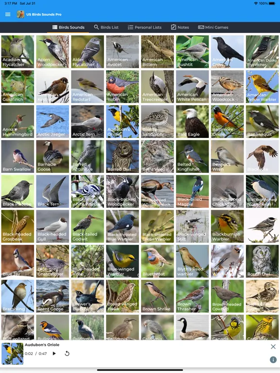 American Birds Sounds Pro iPad  Screenshots