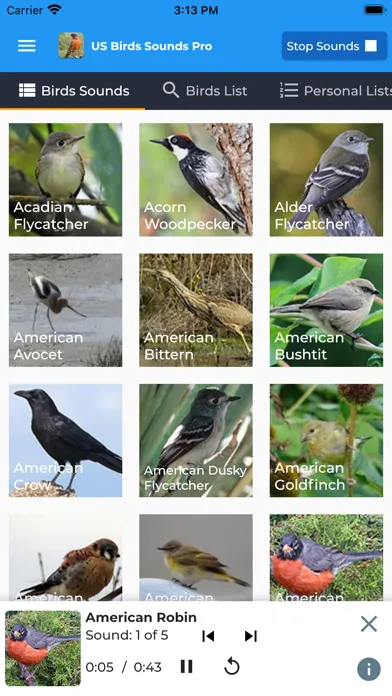 American Birds Sounds Pro Screenshots