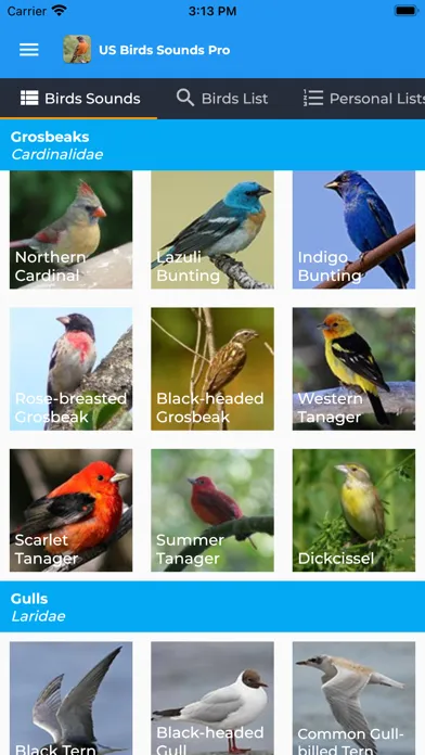 American Birds Sounds Pro Screenshots