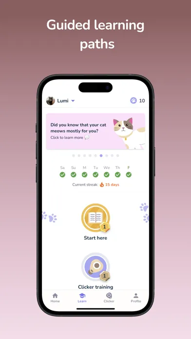Screenshot di Lumsters: Cat Training & Tips