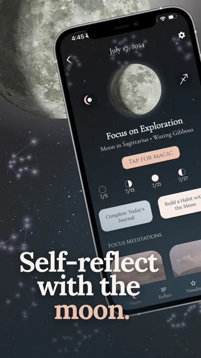 Capturas de tela do Luna Focus: Clarity Journal