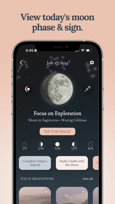 Capturas de tela do Luna Focus: Clarity Journal