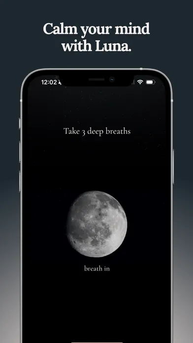 Capturas de tela do Luna Focus: Clarity Journal