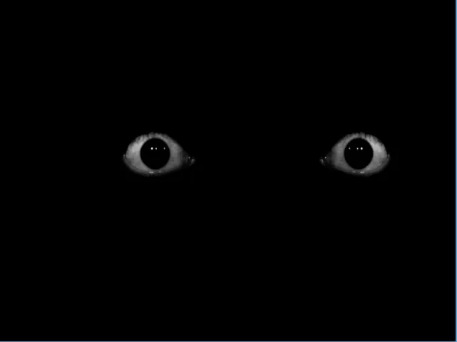 Creepy eyes fear स्क्रीनशॉट