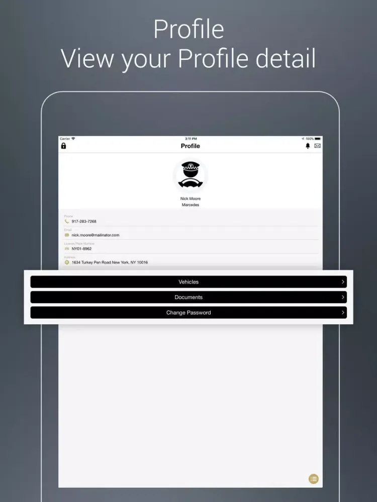 Capturas de tela do Luxo Driver iPad 