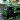 Mod Bussid QQ Trans Nabilla