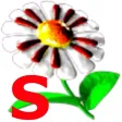 Virtual Music Composer Subscr. Virtual Music Composer Subscr.