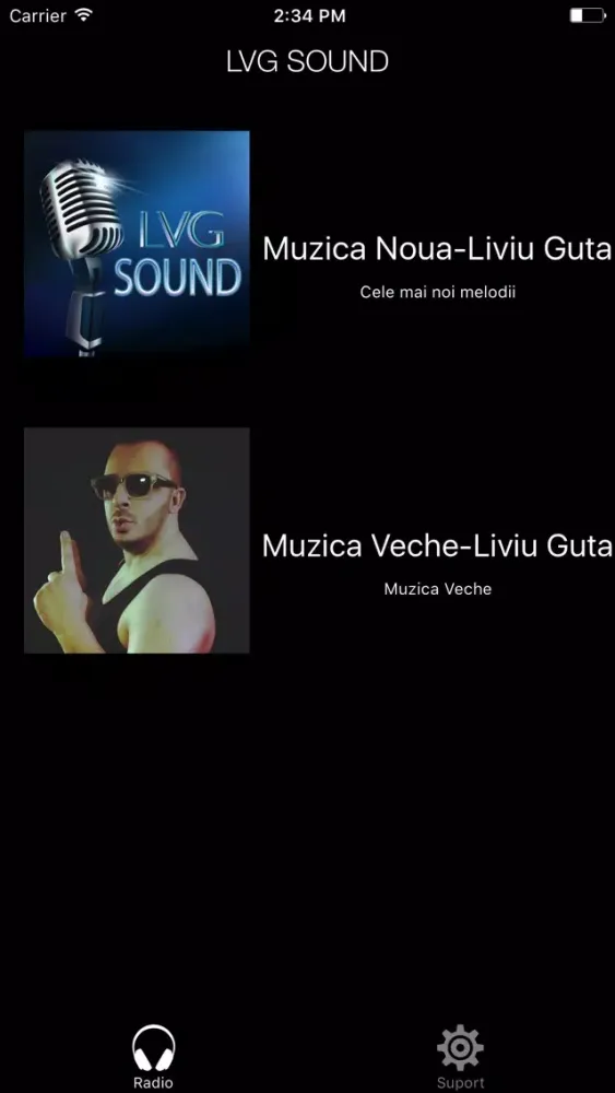 Capturas de pantalla de LVG SOUND