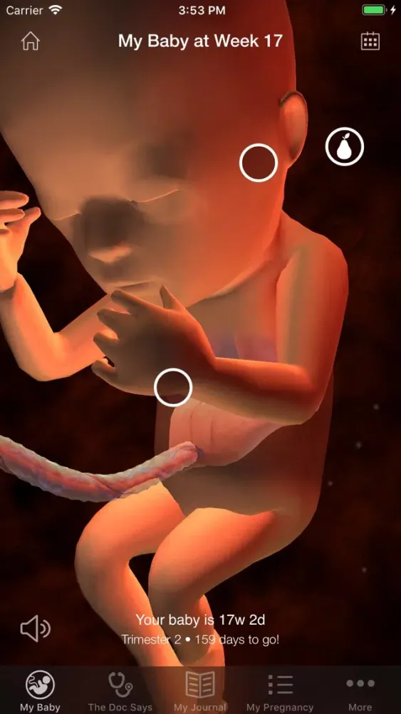 Captures d'écran de LVHN Baby Bundle