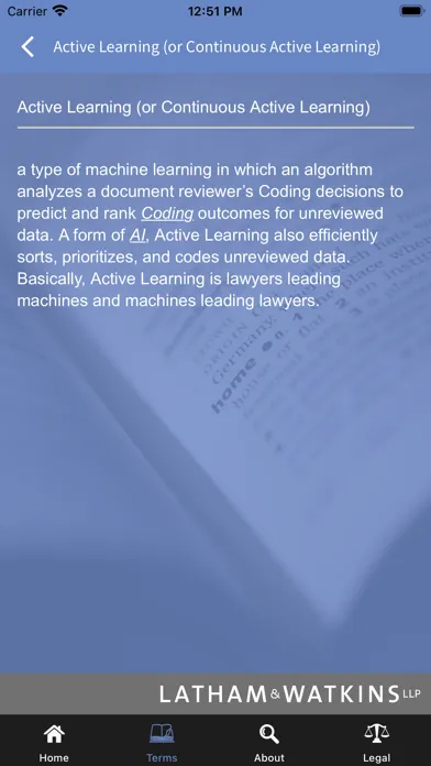 Ảnh chụp màn hình của The Book of Jargon®-eDiscovery