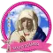 Santo Rosario español