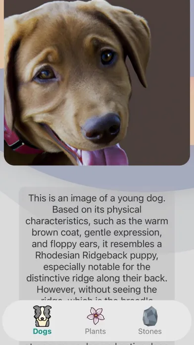DogMentor應用截圖