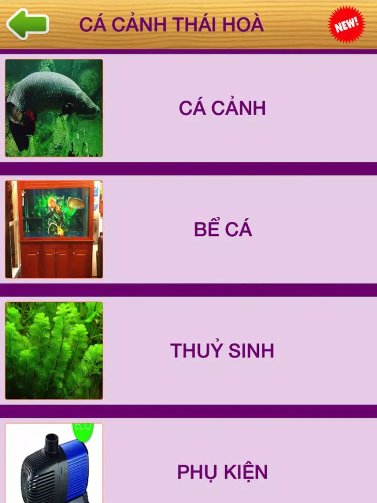 Tangkapan layar Cá Cảnh Thái Hoà iPad 