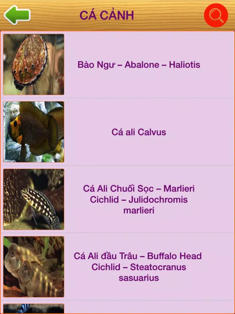 Tangkapan layar Cá Cảnh Thái Hoà iPad 