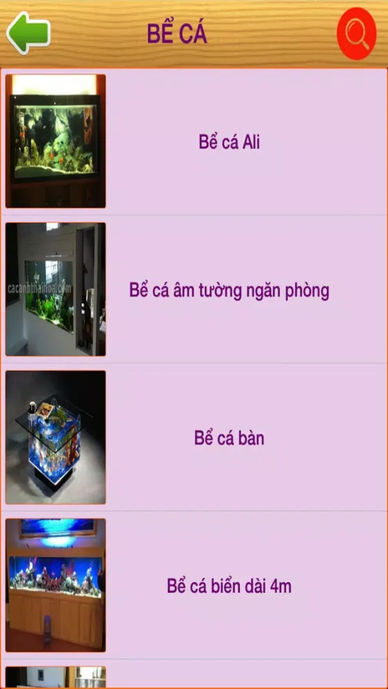 Tangkapan layar Cá Cảnh Thái Hoà