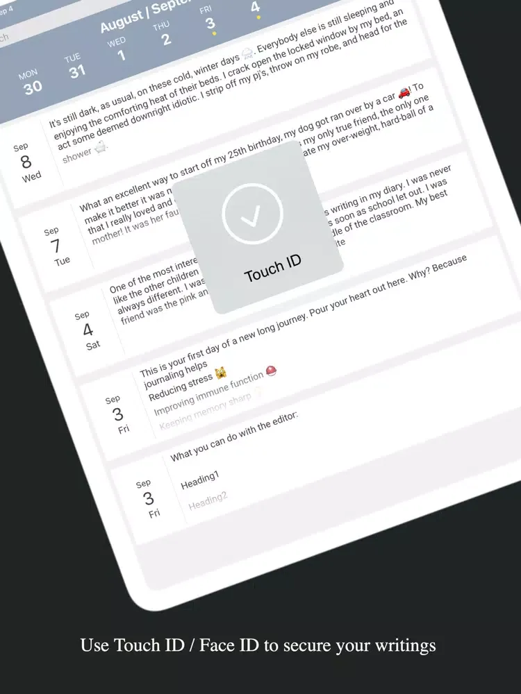 7day Journal iPad  Ekran Görüntüleri