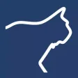 Lynx Mobile