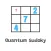 Quantum Sudoky