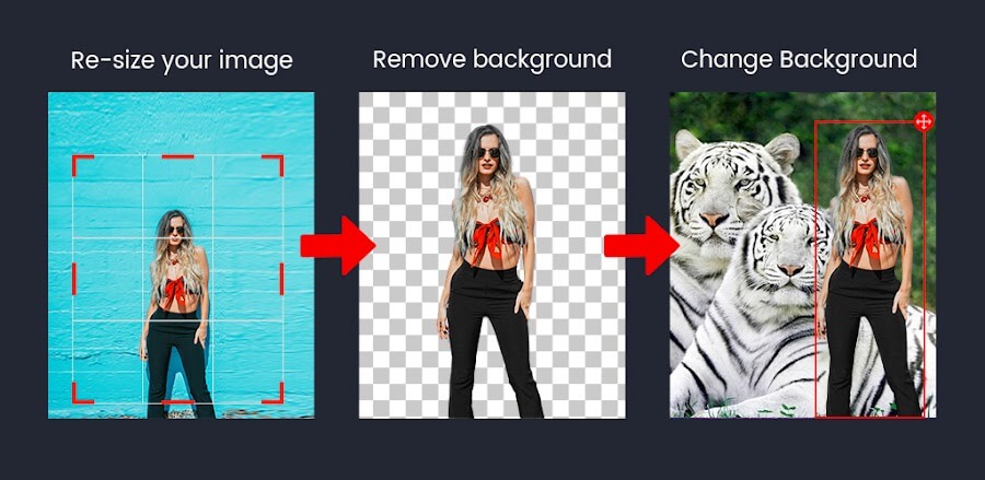 Background Changer