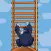Climbing The Heights