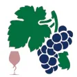 Weinquiz Allgemein Weinquiz Allgemein