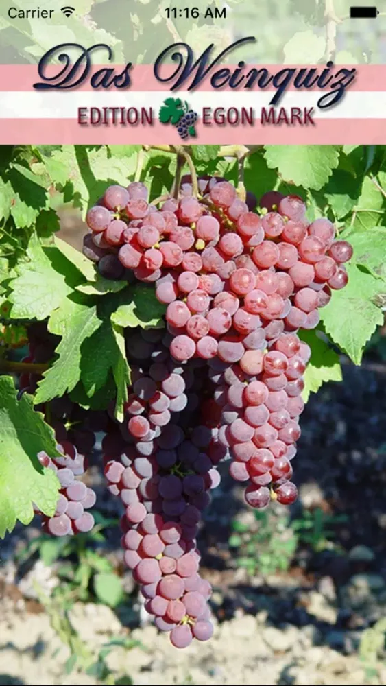 ภาพหน้าจอของ Weinquiz Österreich